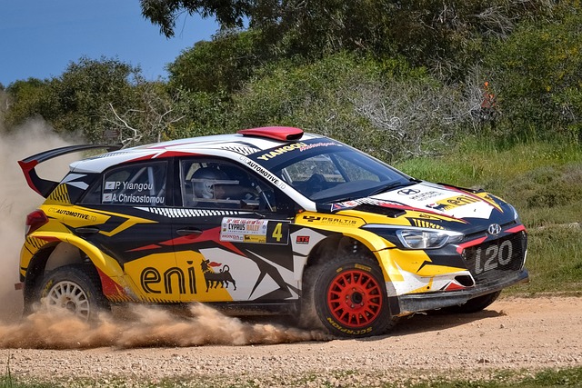 car, race, rally, racing, auto, automobile, automotive, sport, competition, motorsport, car wallpapers, east safari rally, hyundai